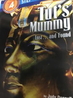 Tut 's mummy