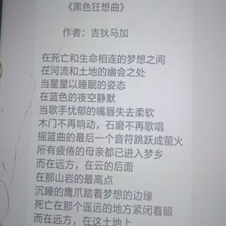 《黑色狂想曲》