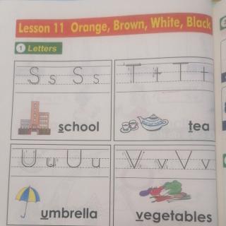 三上Lesson  11 Orange,Brown,White,Black!