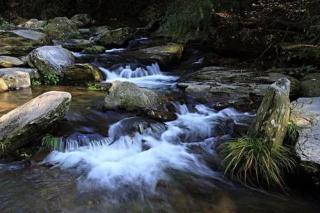 那汪山泉水 文/曹家赫