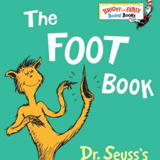 The Foot Book