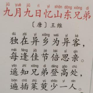 古诗背诵《九月九日忆山东兄弟》