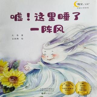 “晚安宝贝”名家大奖系列—《嘘！这里睡了一阵风》