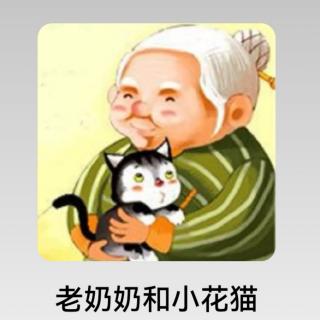 老奶奶和小花猫