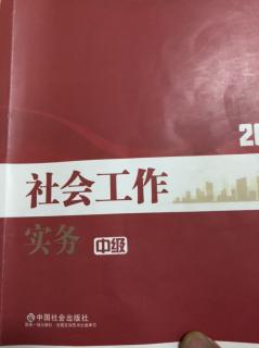 社会工作实务第四章第二节青少年社会工作的主要内容