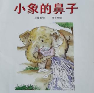 《小象的鼻子》