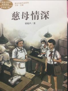 《慈母情深》慈母情深