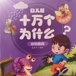 十万个为什么--蜗牛是如何过冬的？