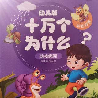 十万个为什么--马是怎样睡觉的？