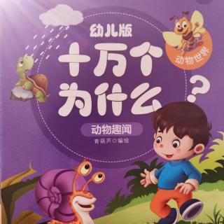 十万个为什么--鸡为什么要吃沙子？