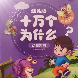 十万个为什么--鱼也睡觉吗？