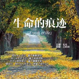 周二晚安曲组【生命的痕迹】VOL.毛毛