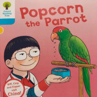 【艾玛读绘本】牛津树中国故事 L3 Popcorn the Parrot讲解