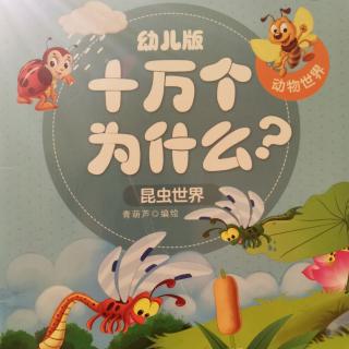 十万个为什么--蜜蜂为什么喜欢在花丛中飞？