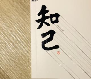 《知己》-17肩膀