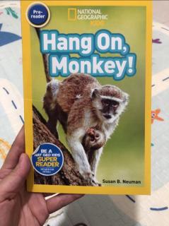 Hang On，Monkey！