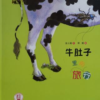 Lily老师讲故事——《牛肚子里的旅行》
