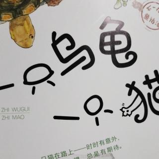 一只乌龟🐢一只猫🐈（第21页）