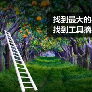 074《逆商》 第六章 第三节 超越人生的困境（5）