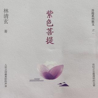 《紫色菩提》*信仰使人清净——林清玄