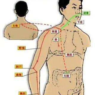 手阳明大肠经后半部分的穴位