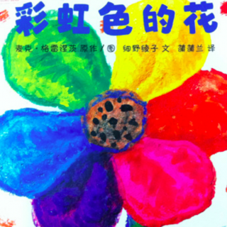 绘本阅读-《彩虹色的花》