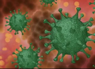 What is Coronavirus?