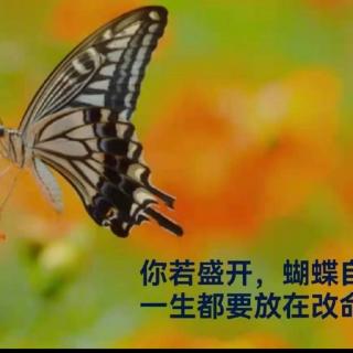 李向晶老师的分享：学习提升智慧