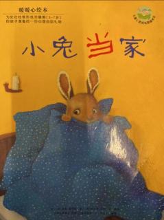 《小兔当家》-汉阳区七色光幼儿园谢芬