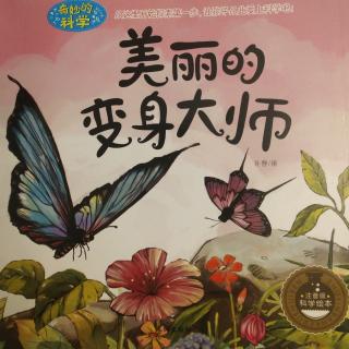 《美丽的变身大师》