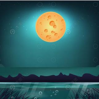 池塘里的圆月亮