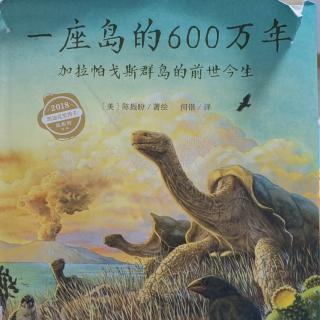 一座岛的600万年上