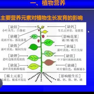 科学施肥及基本原理