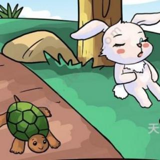 【故事大王】中二班谢雯宣宝贝讲故事《龟兔赛跑》