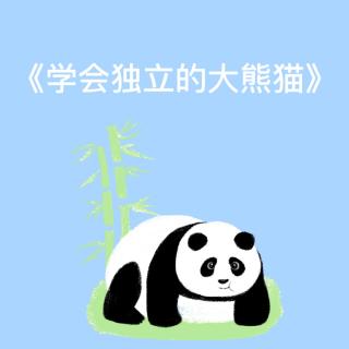 《学会独立的大熊猫》