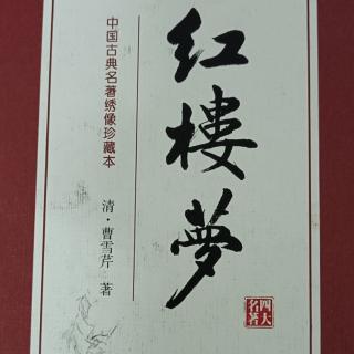 红楼梦第78回