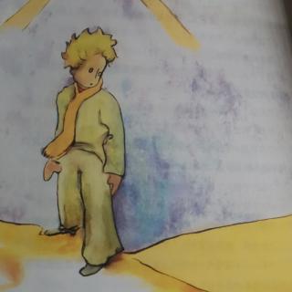 宋老师第600个睡前故事🌻《小王子～17、金色的脚环》