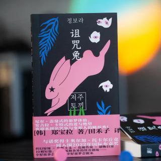 22. 郑宝拉《诅咒兔》：“就这么着吧，也不是什么大事”