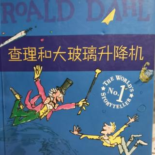 查理和大玻璃升降机11克尼德大战