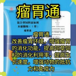 羊不吃不喝不反刍应该怎么治疗？