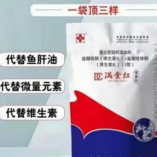 母牛打栏不明显或者不打栏是怎么回事？