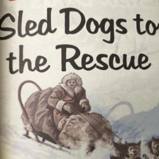 Sled Dogs to the Rescue