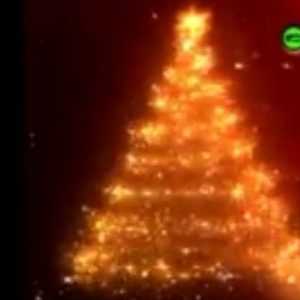 သမိုင်းဝင်ဒီဇင်ဘာ
VoL~Nu Nu Awng(Christmas Songs)