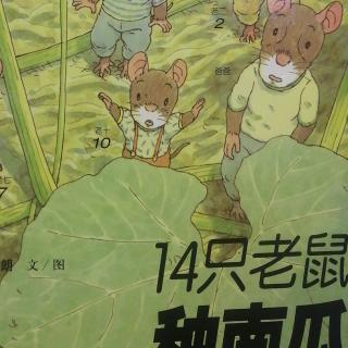 十四只老鼠种南瓜