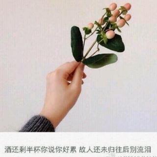 表白我亲爱的妍妍