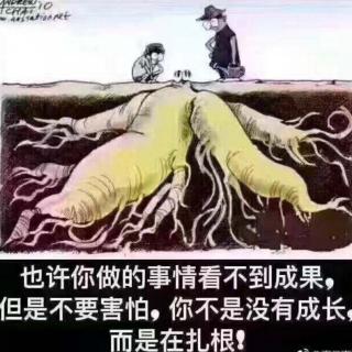 深耕自己，胜过取悦他人