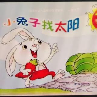 《小兔子🐰找太阳☀》