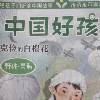 栗子讲书《克俭的白棉花》十八《美国奶粉》