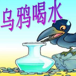 《乌鸦喝水》