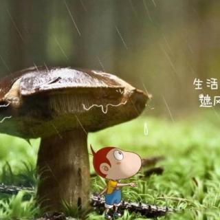 恭诵《弟子规》第13天